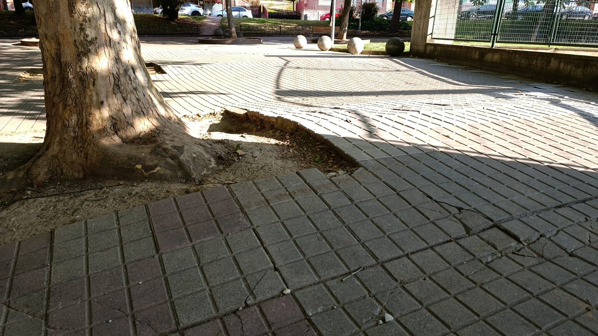 🚧 Comienzan las obras para mejorar el acceso al CEI San Antonio 🏫
Una actuación urgente para solucionar los problemas de accesibilidad, 🏛️🗣️según ha informado el concejal de infraestructuras, Iván Alonso.

¡Gracias a las familias, AMPA y dirección por su paciencia y apoyo!