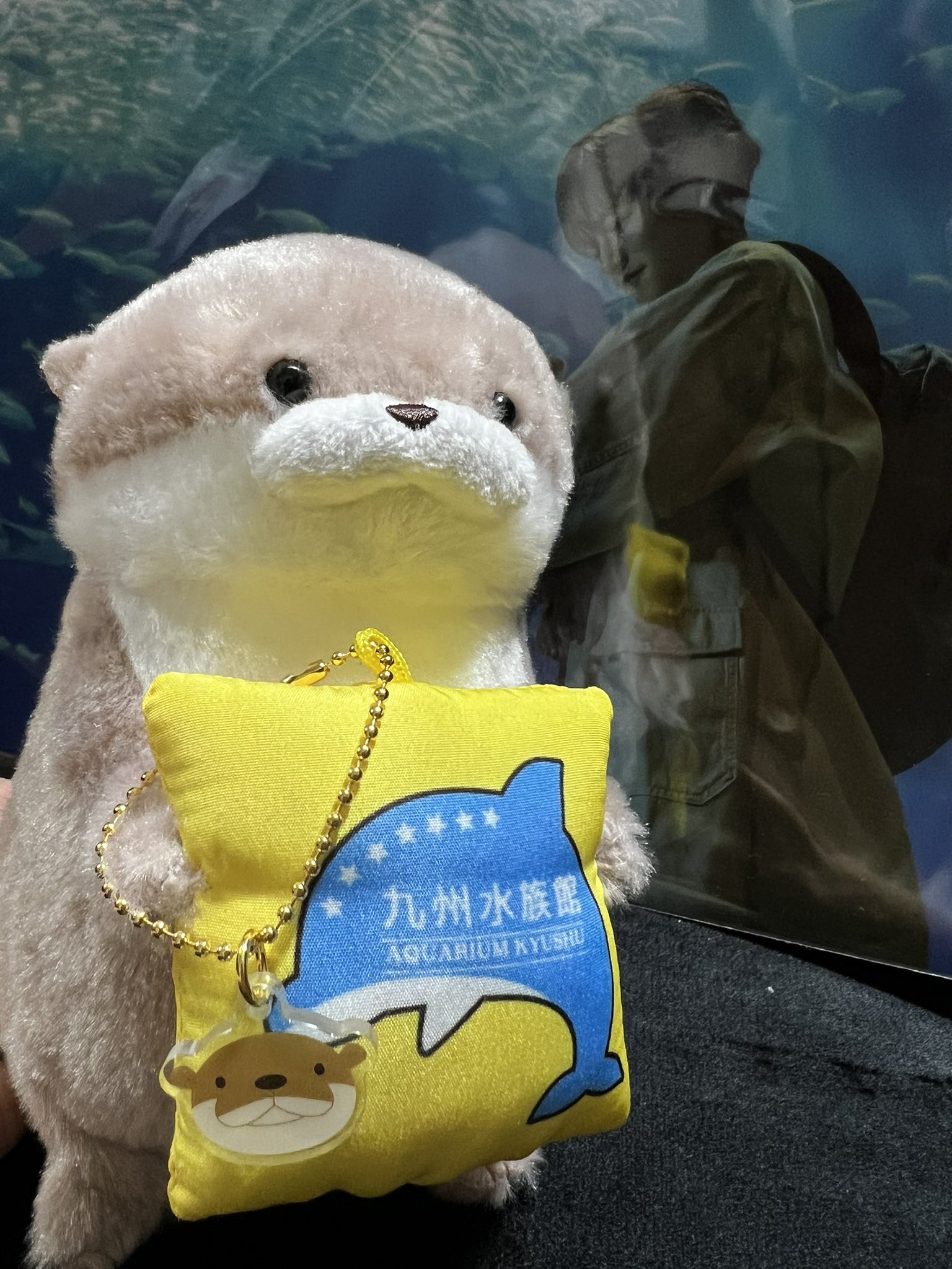 かのん🍭 on X: 