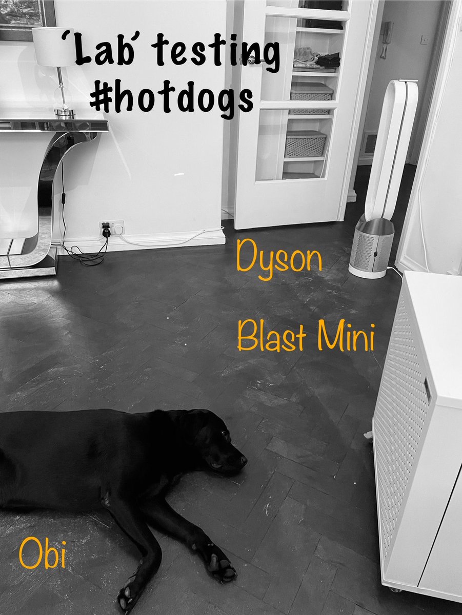 SmartairUk's tweet image. Obi (professional napper and air quality connoisseur 🐾) has officially ‘lab’ tested two air purifiers for cool, filtered air on a hot day and he’s chosen the Blast Mini as the top dog.
#LabTested #DogApproved #StayCool