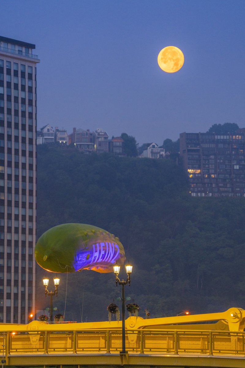 DaveDiCello's tweet image. This morning the bridges of #Pittsburgh were lit up green for #Picklesburgh, and I had a ton of fun capturing the setting moon behind them. The giant pickle is back on the Clemente Bridge, and I'm looking forward to checking out the festival this weekend.