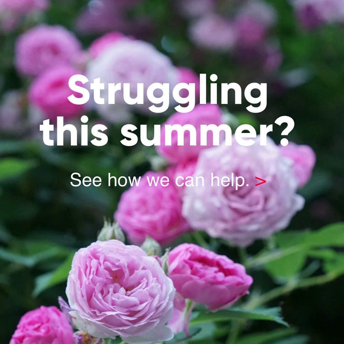 Help, advice, mentoring, training, financial assistance &amp; emergency support. 

Whatever you need, we’re here for you this summer. 

Go online for more info / apply.

Message anytime you need us. ❤️