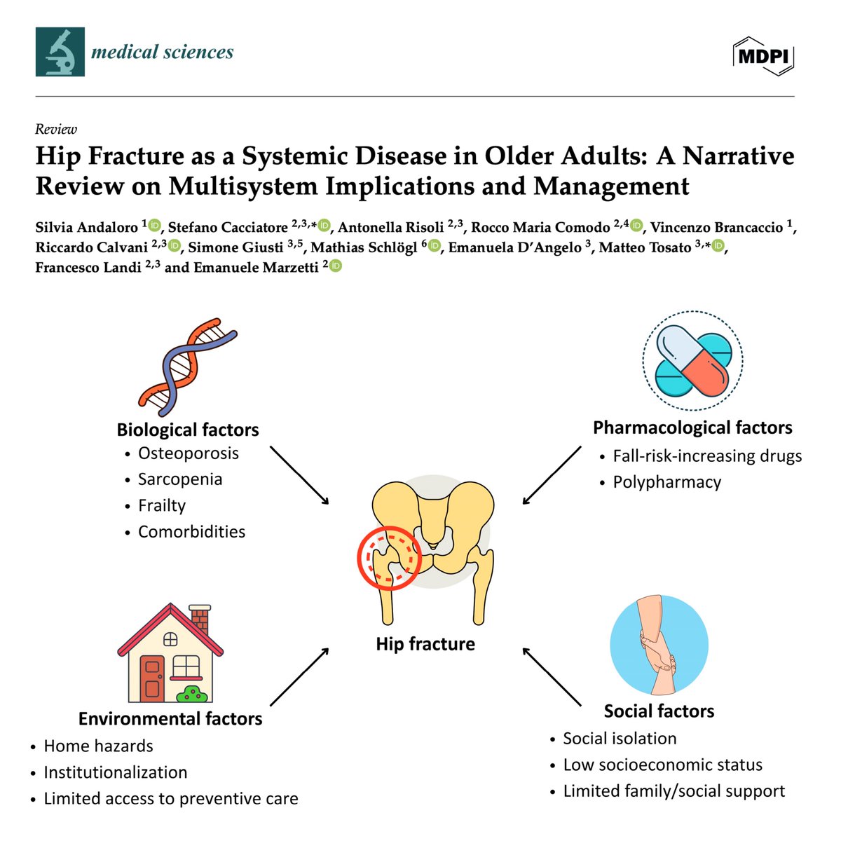 stecacMD's tweet image. 📢 Just accepted in Medical Sciences MDPI
📰 "Hip Fracture as a Systemic Disease in Older Adults: A Narrative Review on Multisystem Implications and Management"
👉 doi.org/10.3390/medsci…
🔍 This review reframes hip fracture not just as an orthopedic event—but as a systemic…