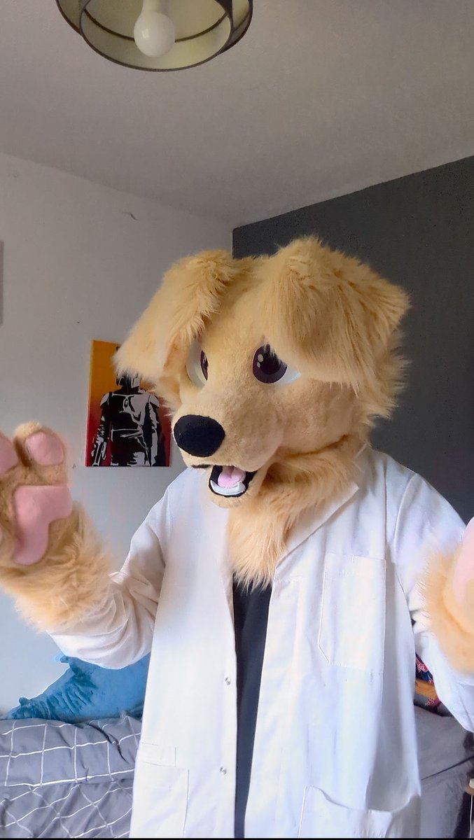 ๐ด๓ ง๓ ข๓ ท๓ ฌ๓ ณ๓ ฟ Kodi ๐ณ๏ธโ๐ (@kodibarks) on Twitter photo As your Dogtor Iโm here to inform you your lab tests came back and you have tested positive for being a hecking cutie! 
#FursuitFriday #Furry As your Dogtor Iโm here to inform you your lab tests came back and you have tested positive for being a hecking cutie! 
#FursuitFriday #Furry