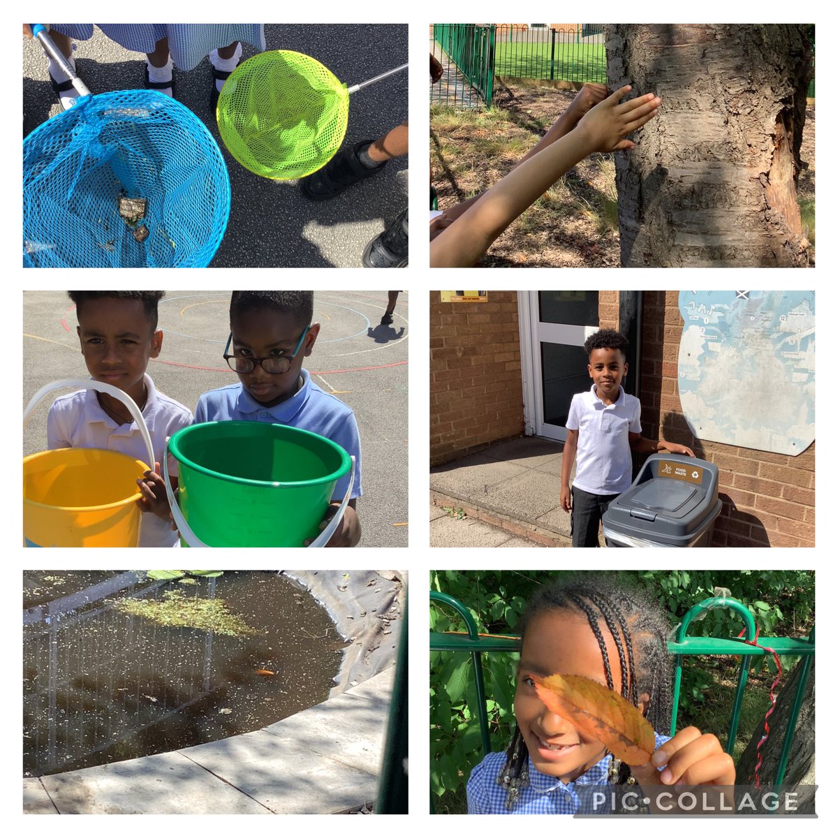 ChadPrimary's tweet image. This week in Year 2, as part of our outdoor learning we went exploring round our school grounds. This was linked to our Science learning (Living things and their habitats) and we found a range of things that are living, dead and never lived #outdoorlearning