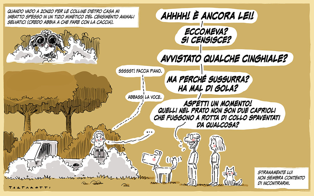 tartaro7's tweet image. Persone non contente di incontrarmi. 
Non capisco perché. Saluto sempre tutti.
#tartamolesto #cacciatori #vitadicampagna #cana #piozzano #emiliaromagna