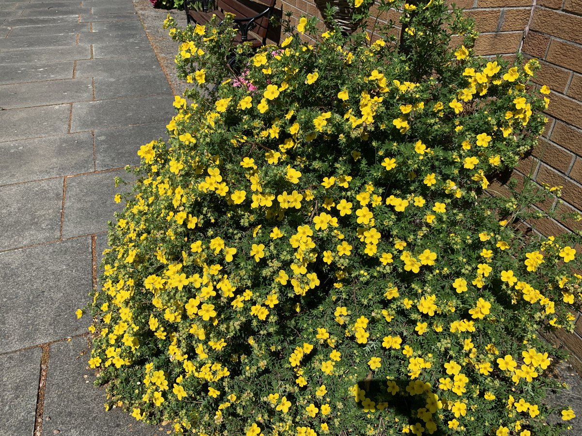 Ray Hayden tweet media