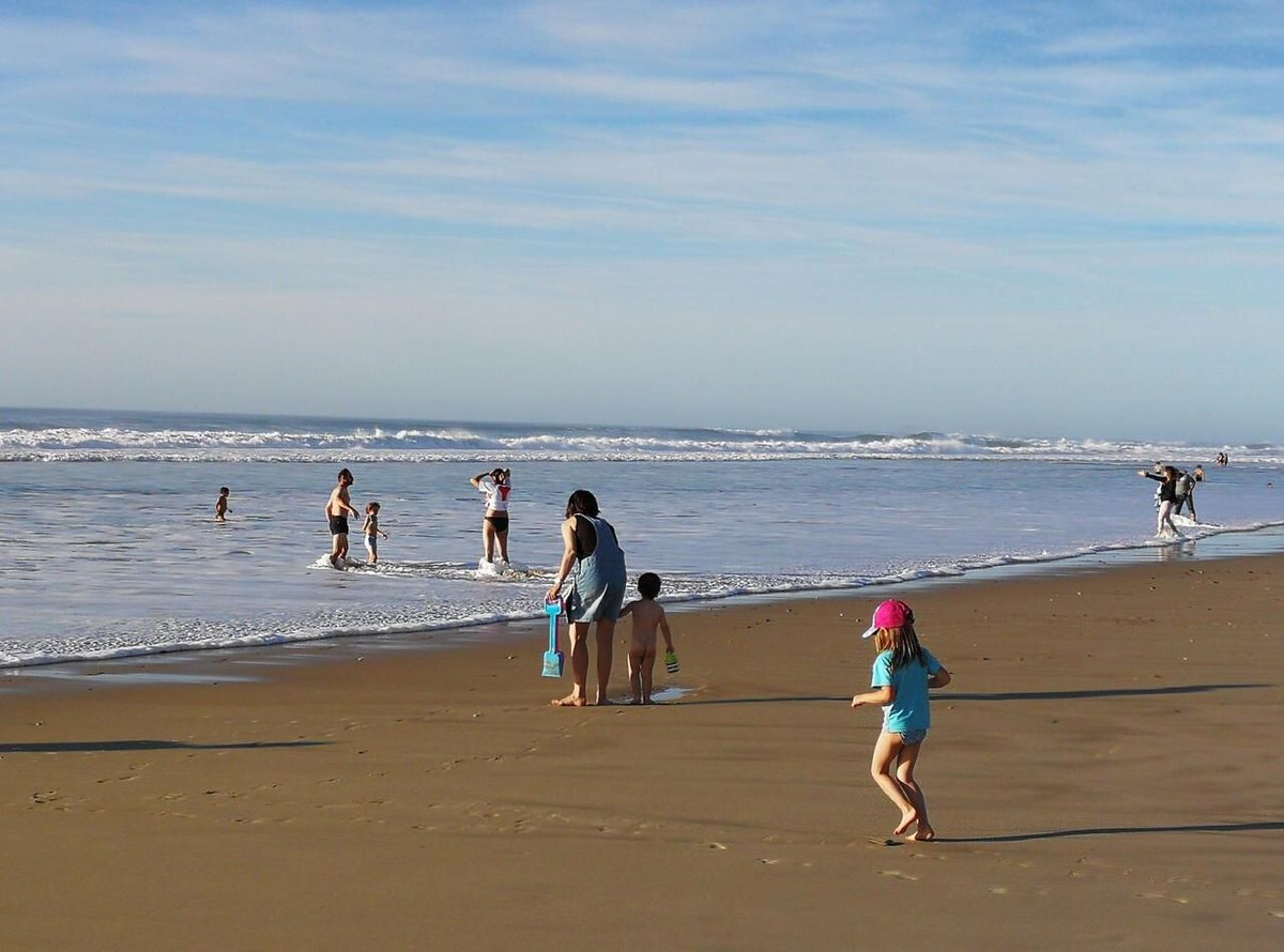 Un adolescent de 17 ans meurt à la plage en Italie, asphyxié dans un trou qu’il avait lui-même creusé

➡️ l.leparisien.fr/yOpE
