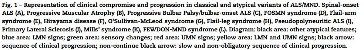 piandro3142's tweet image. Great diagram, from an interesting review, summarising variants of MND, there are just so many beyond ALS/PLS/PMA/PBP!
Source: pubmed.ncbi.nlm.nih.gov/30846210/