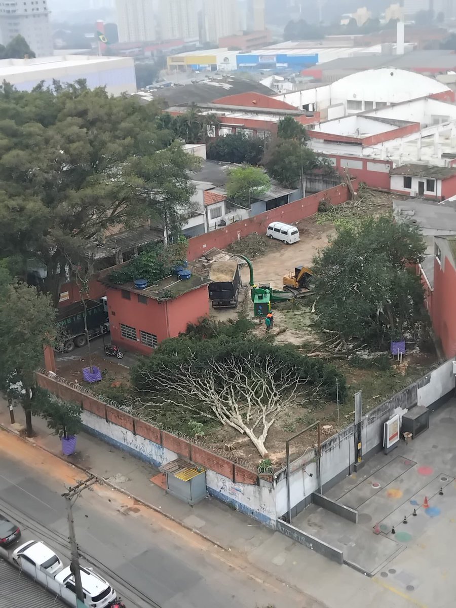 Em SP você pode fazer o que quiser se tiver dinheiro