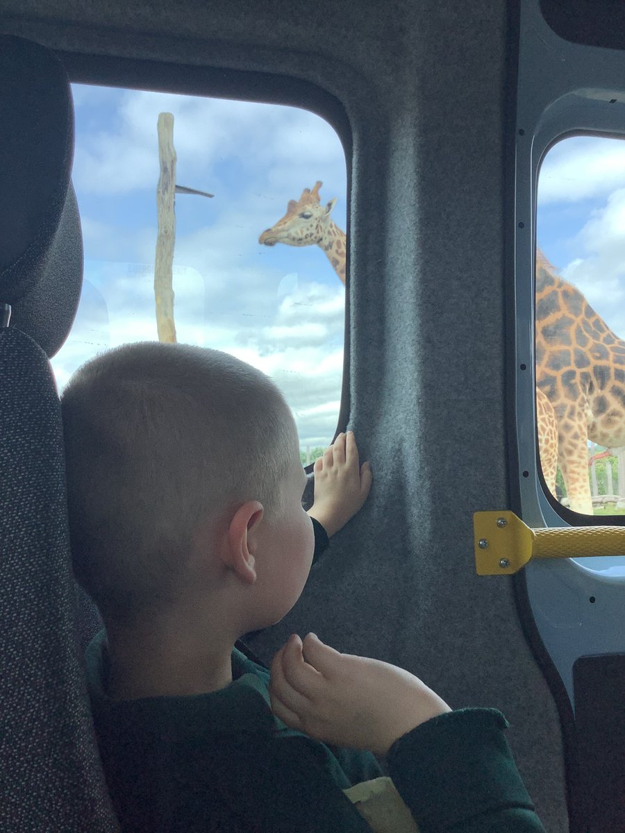 This term 1H were On Safari. We explored the book 'Dear Zoo' in our lessons and even saw some real life safari animals at West Midlands Safari Park.