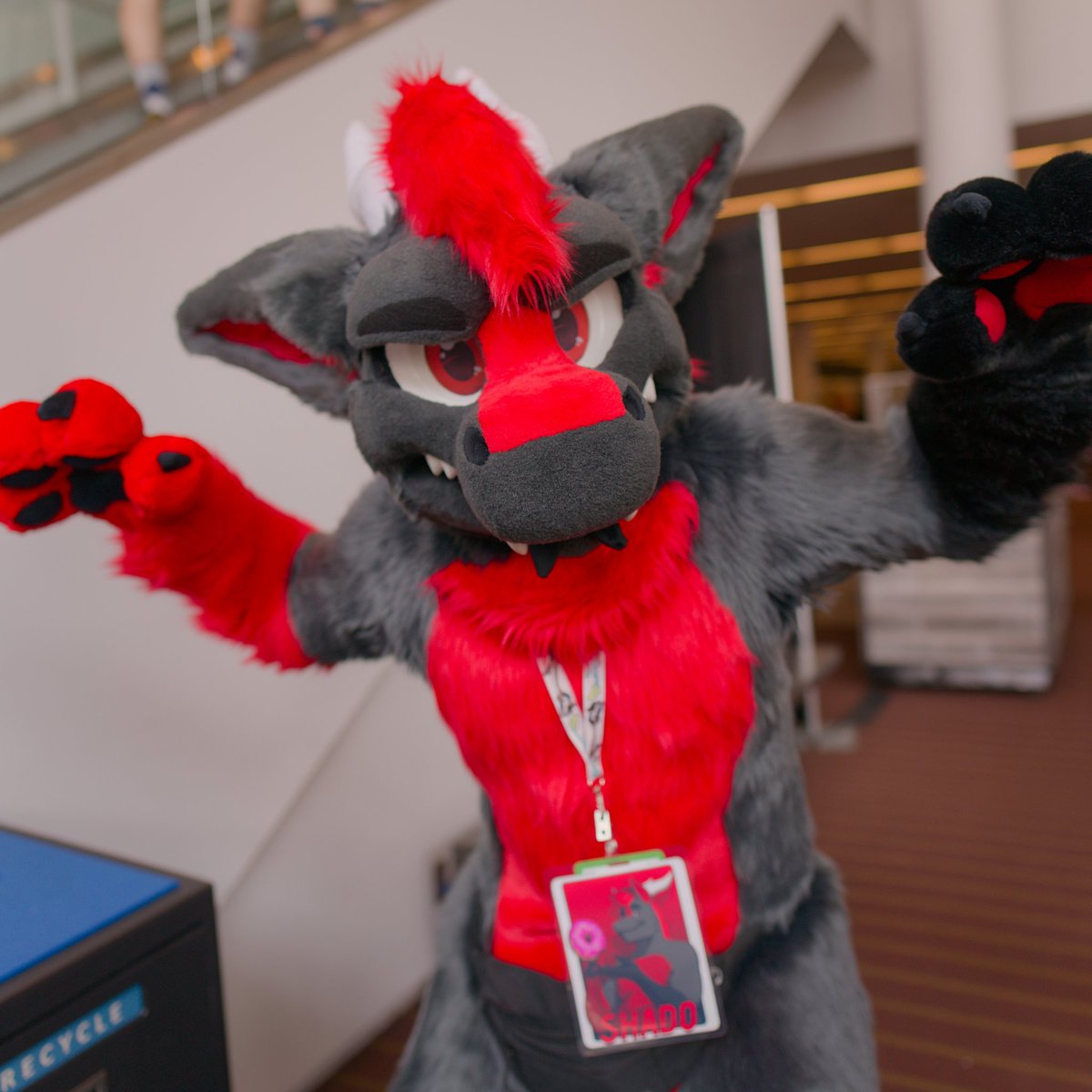 CinnaCorgi's tweet image. RAWR!!!

🐾- @fluffyshado 
🧵- @MoreFurLess 
📷- beals
🌎- Anthrocon 2025