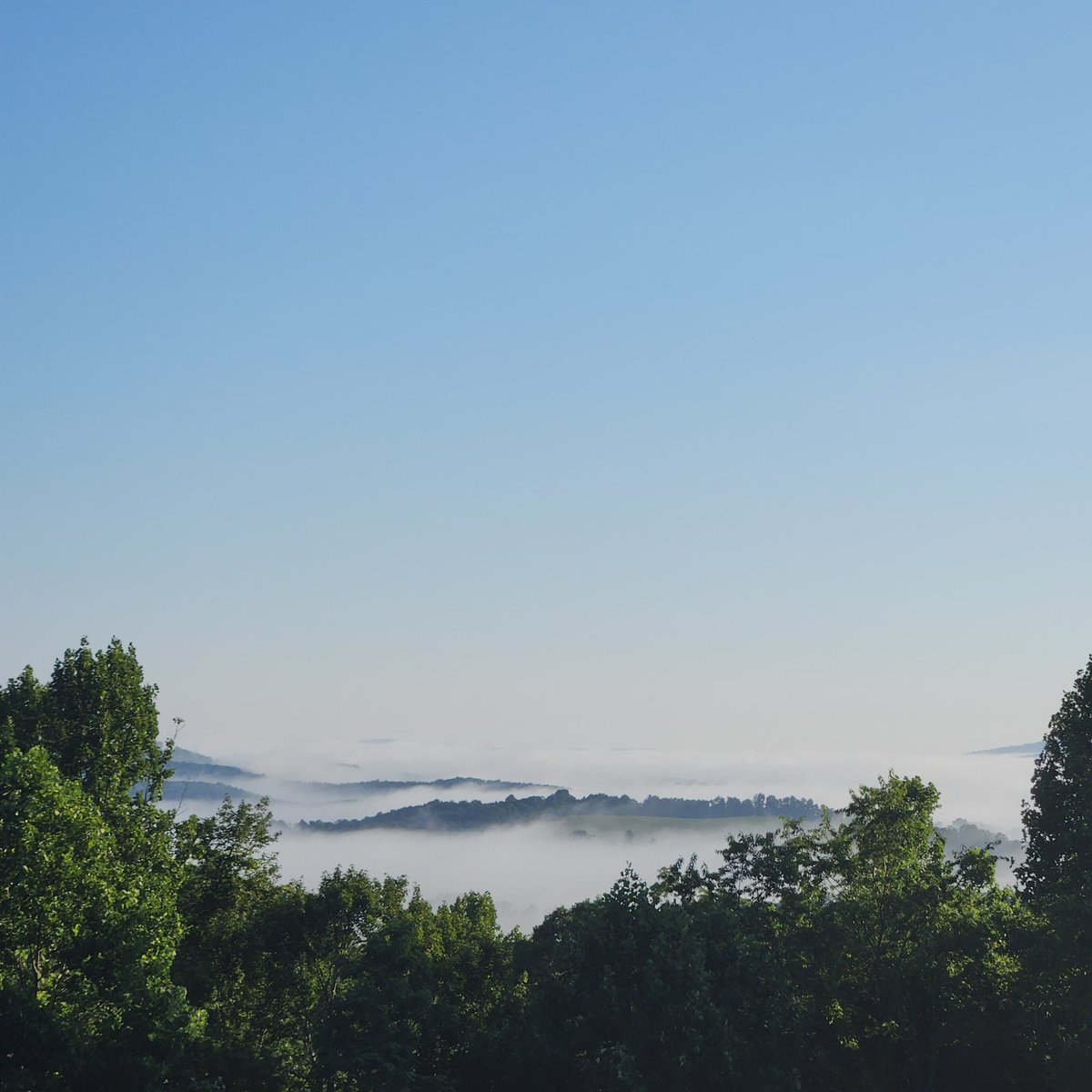 StrandFarm's tweet image. Good mornin' from the Blue Ridge. Hope yall have a blessed day!
