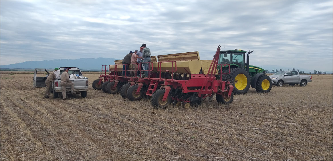 7 de julio: Día Nacional de la Conservación del Suelo argentina.gob.ar/noticias/7-de-…