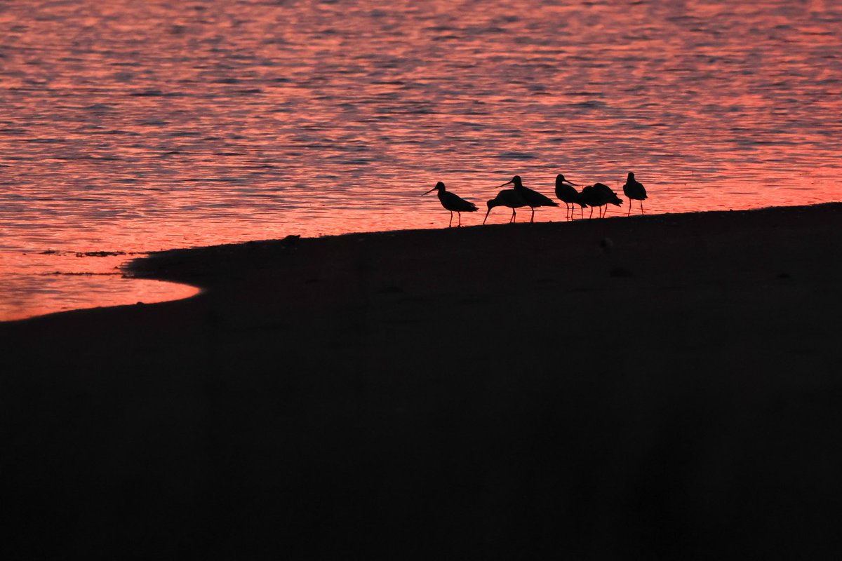 Tate Lloyd tweet media