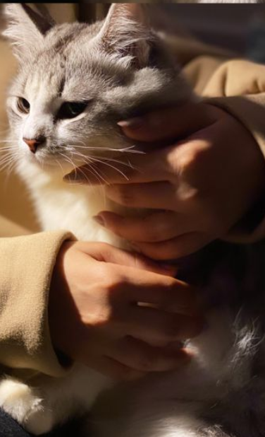 miley_stane's tweet photo. We both needed a little break, just me, my thoughts, and her soft purring.
#cat #catlove #catloversworld #peace #bestfriends #cutecat #metime #relaxed #catsgram #breakfromwork https://t.co/0bvbXOfQkU