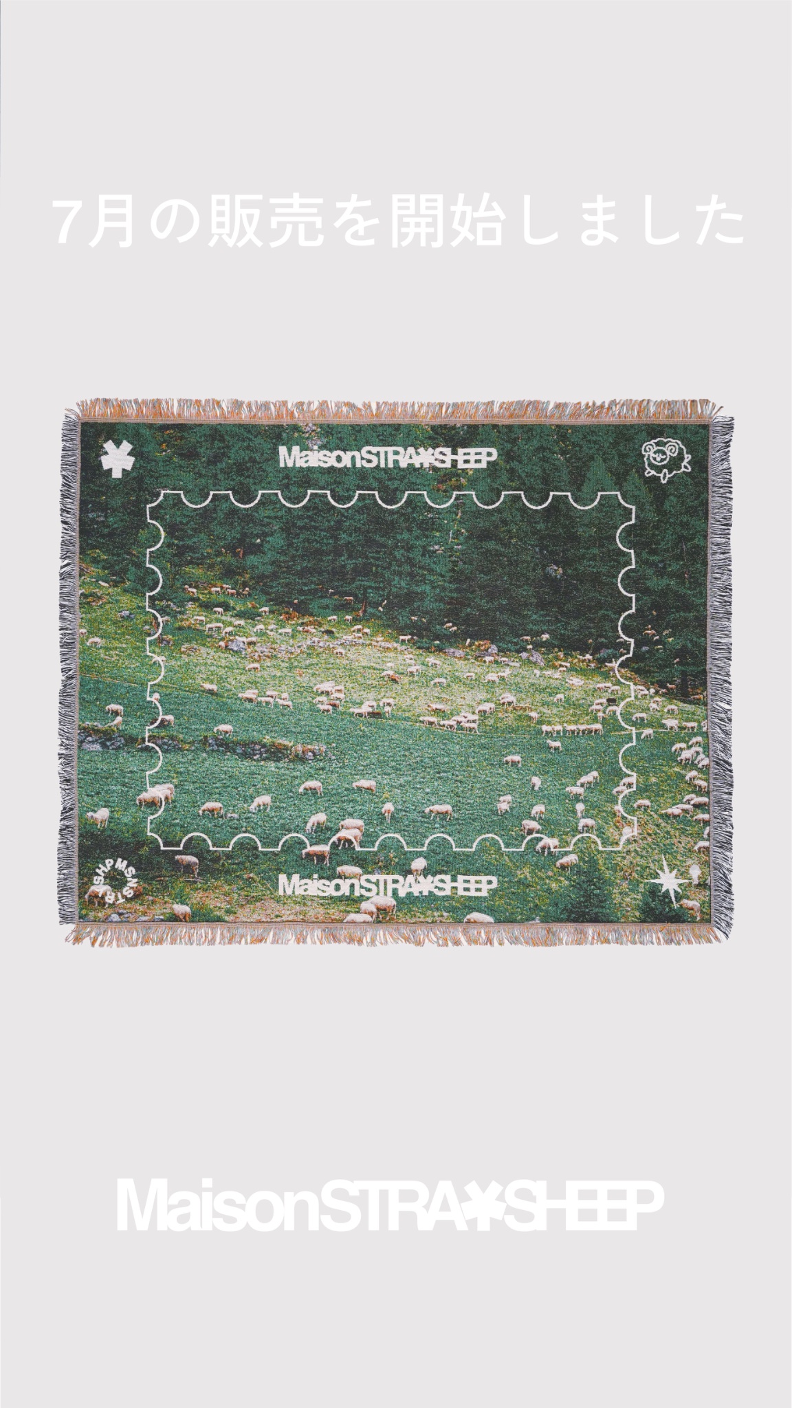 maison straysheep ブランケット未開封未使用 maison straysheep ブランケット未開封未使用 - メルカリ