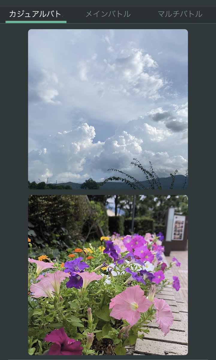 上下が１枚の写真に見えるバトル⚔️

発見できて嬉しい☺️
#SNPIT