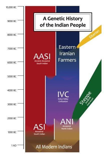 This is a very interesting genetic map. The timeline and how the mix happens is amazing