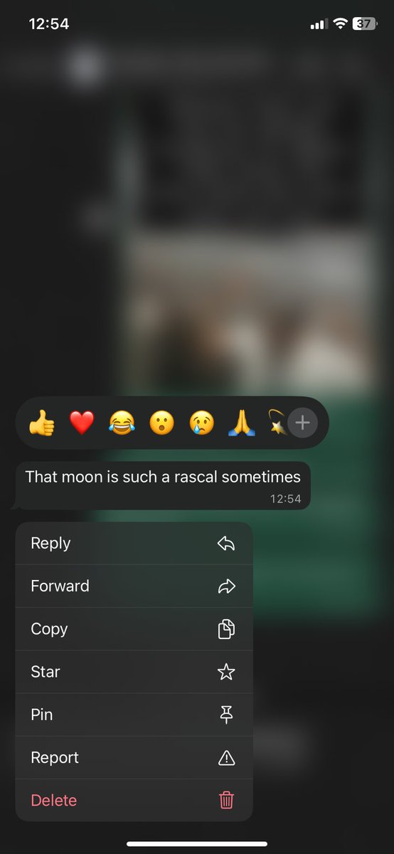 Hele Coma (@helenarosecoma) on Twitter photo 