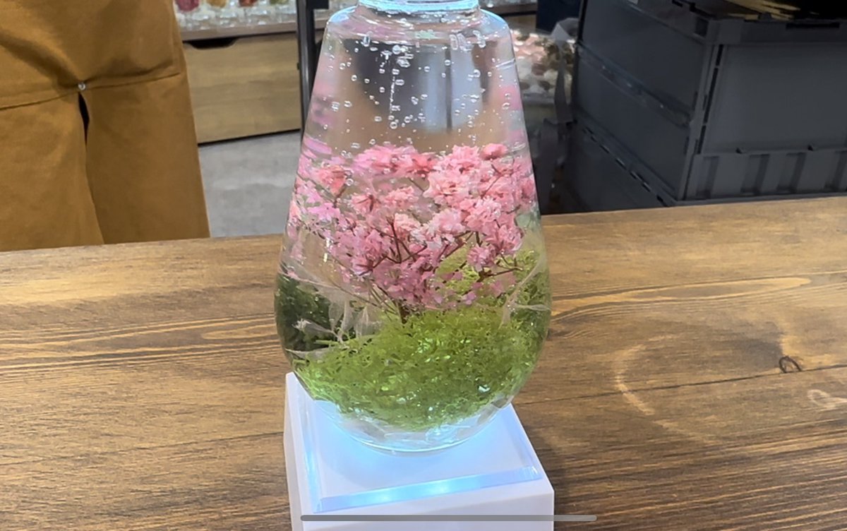 ドズル社ワークス遊び行った時のやーつ エレメンタリウムおもろくて