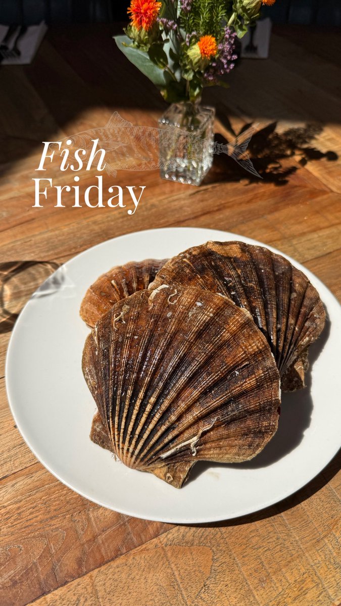 Fish Friday is here and we’ve got some gorgeous hand-dived Tarbot scallops on the menu. Stay tuned to see what Chef James does with them 🎣