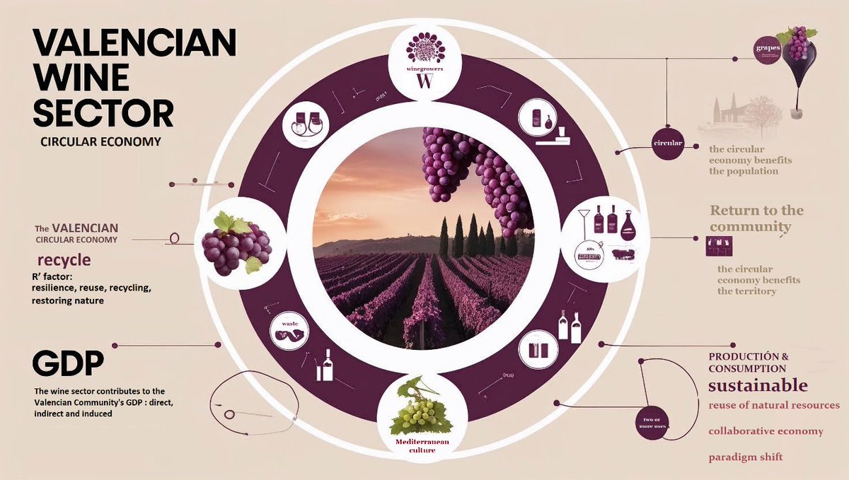 creatuprovincia's tweet image. 🍇 El vino como eje de la economía circular rural.
Nuevo estudio sobre canales cortos, viticultura y modelo territorial en España
📝 doi.org/10.20944/prepr…
#Vino #EconomíaCircular #CanalesCortos #Viticultura #MundoRural #Preprints
