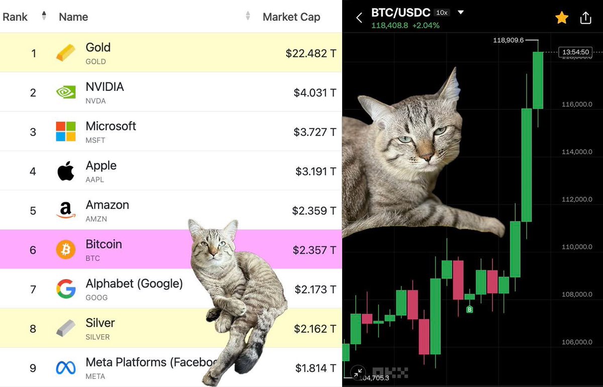$BTC Mcap อันดับ 6 ของโลก นำ Meta กะ Google และกำลังจะแซง Amazon แล้วววว