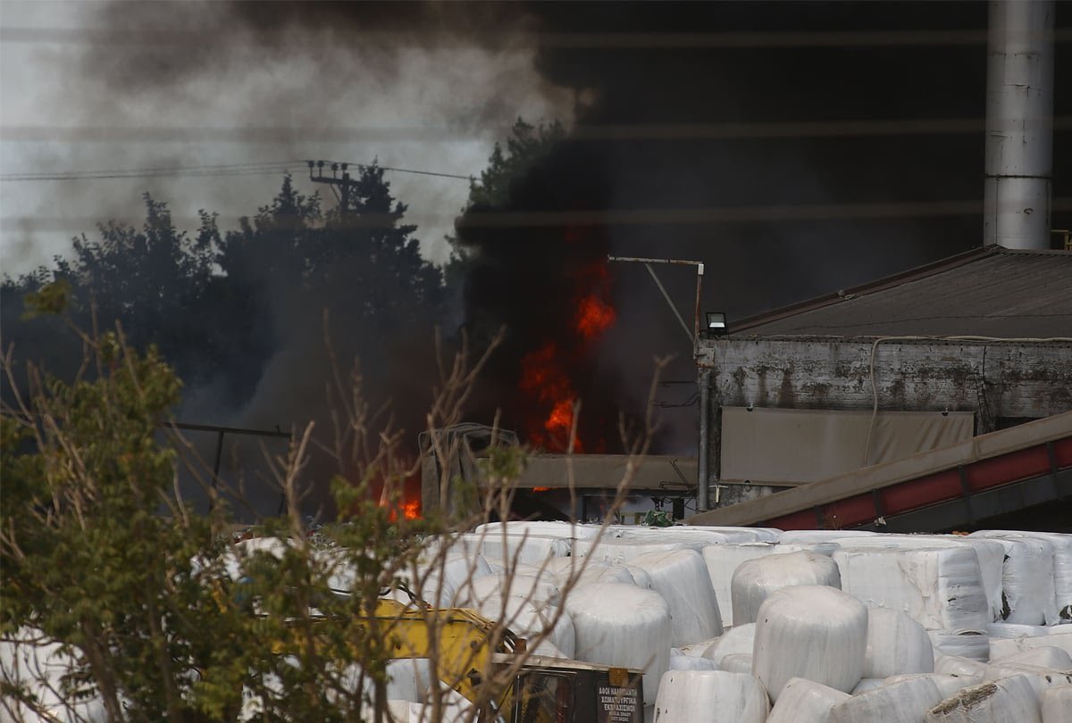 Ζω στην χώρα όπου ,

Πετάνε τα αρχεία του ΟΠΕΚΕΠΕ ...

(Στο μεγαλύτερο ευρωπαϊκό σκάνδαλο επιδοτήσεων κατά της Ελλάδας)

Και Μετά βάζουν φωτιά στο εργοστάσιο ανακύκλωσης (τυχαία) 

Και δεν ανοίγει μύτη

ΡΑΓΙΑΔΕΕΕΕΕΕΕΕΕΕΕΣ