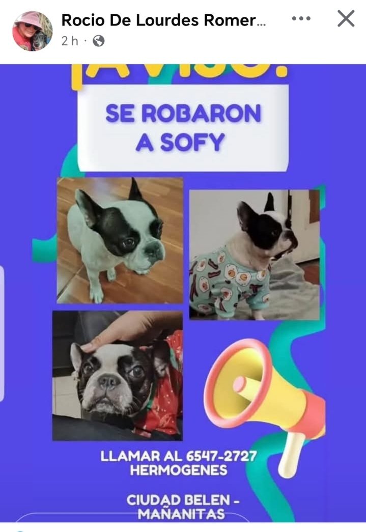 <a href="/sarat1165/">Sara Rugliancich</a> <a href="/SeferinaMelgar/">Seferina Melgar</a> <a href="/dayra_icaza/">dayra icaza</a> <a href="/edithfirst22/">Mélida 🌺🐾💐</a> <a href="/fundasispma/">Fundación San Francisco de Asís ( FUNDASIS )</a> <a href="/heramito/">Yira Lopez De Leon</a> <a href="/ivetteodalys/">Ivette Berrio</a> <a href="/LP19732/">LP1973</a> <a href="/PatasyPies/">Patas y Pies</a> <a href="/PatasPanama/">Patas Panama</a> <a href="/corazonconhuell/">Corazon Con Huellas</a> <a href="/mascotaspanama/">mascotas panama</a>