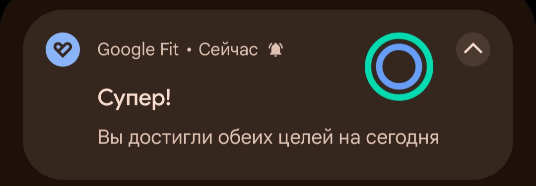 Надо было загадать стать рокзвездой