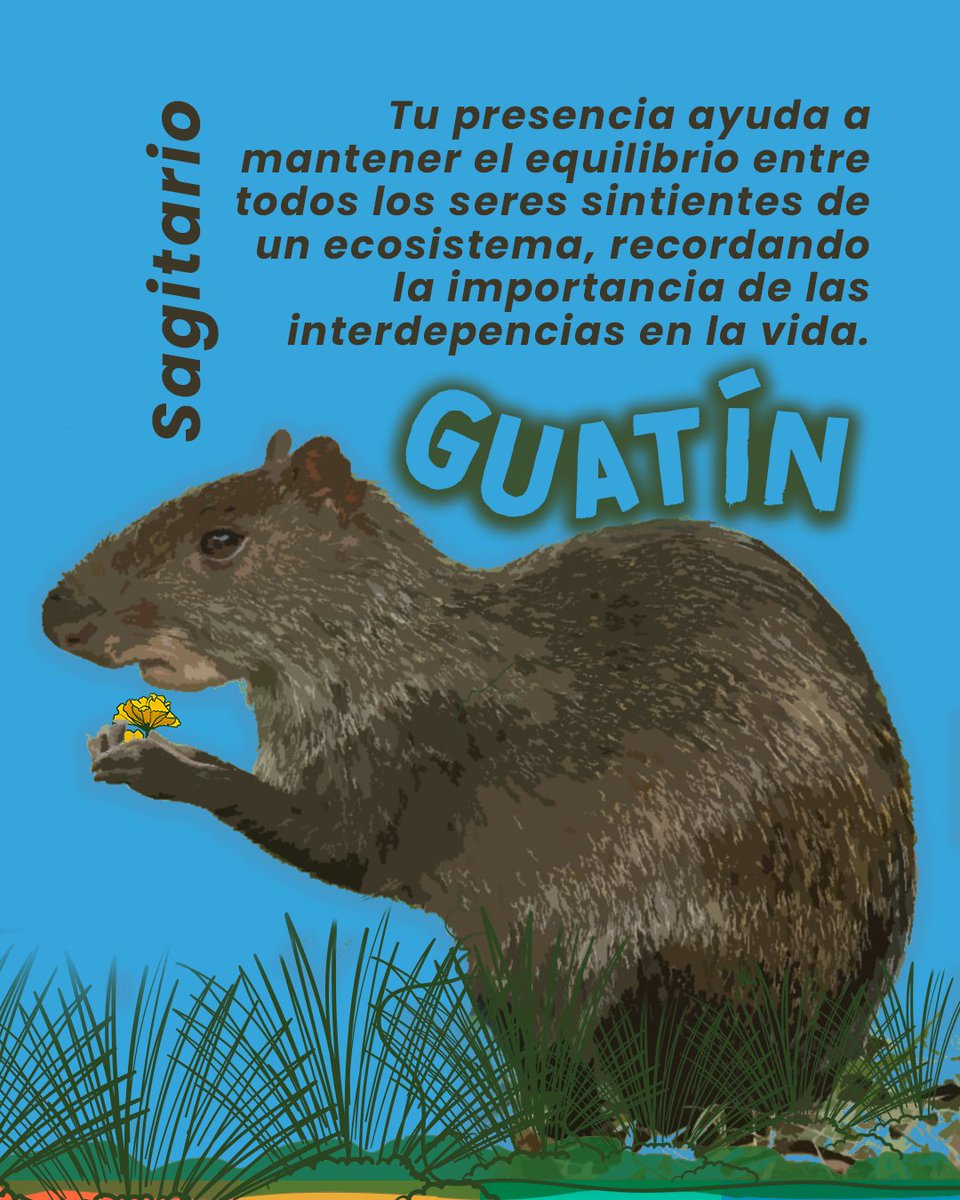 cdrcorporacion's tweet image. facebook.com/share/p/1MKzuM… ¿Qué ser eres de la movilización por el cuidado del agua?
#LaEstrategiaEsElCuidado
#MovilizaciónPorElCuidadoDelAgua