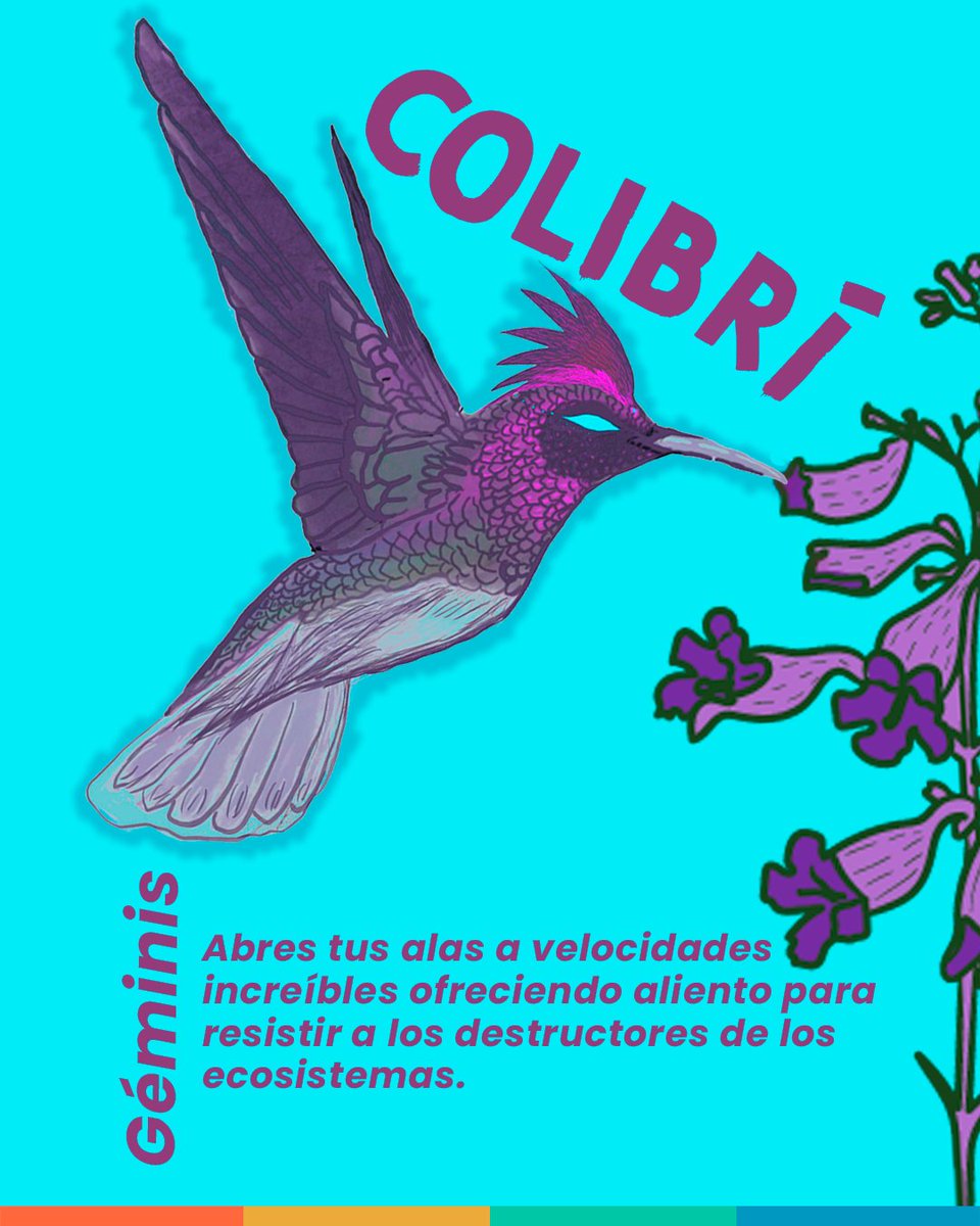 cdrcorporacion's tweet image. facebook.com/share/p/1MKzuM… ¿Qué ser eres de la movilización por el cuidado del agua?
#LaEstrategiaEsElCuidado
#MovilizaciónPorElCuidadoDelAgua