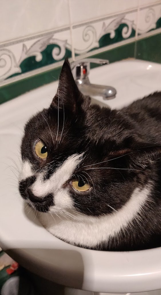 Styopka’s wisdom

Give more time to those you love. They won’t be with you forever.
#StyopkasWisdom