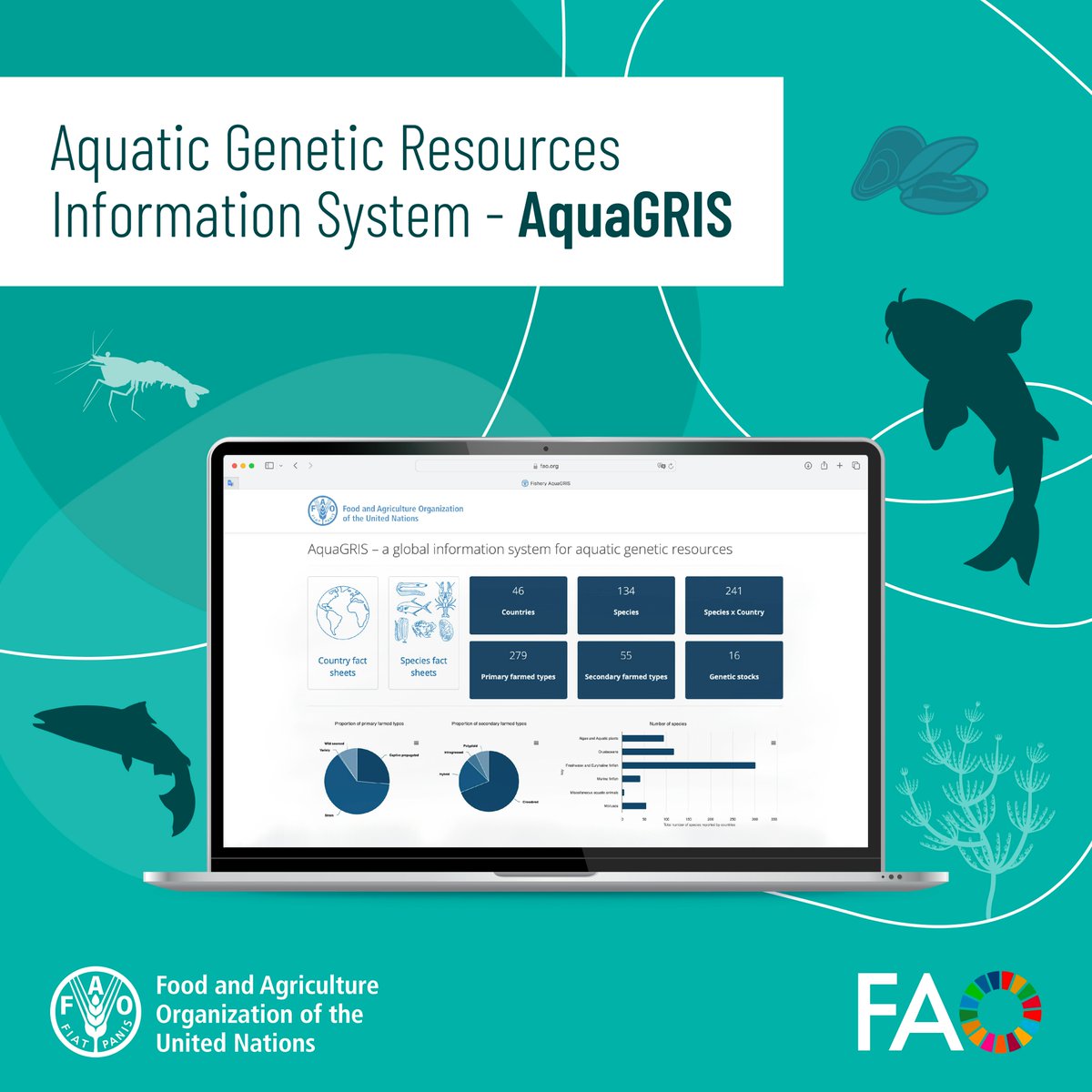 #AquaGRIS is the <a href="/FAO/">Food and Agriculture Organization</a> Aquatic Genetic Resources Info System that offers free access to national &amp; global data on the sustainable use &amp; development of aquatic genetic resources, in particular farmed types &amp; wild stocks of aquaculture species.

Explore now 👉fao.org/fishery/aquagr…