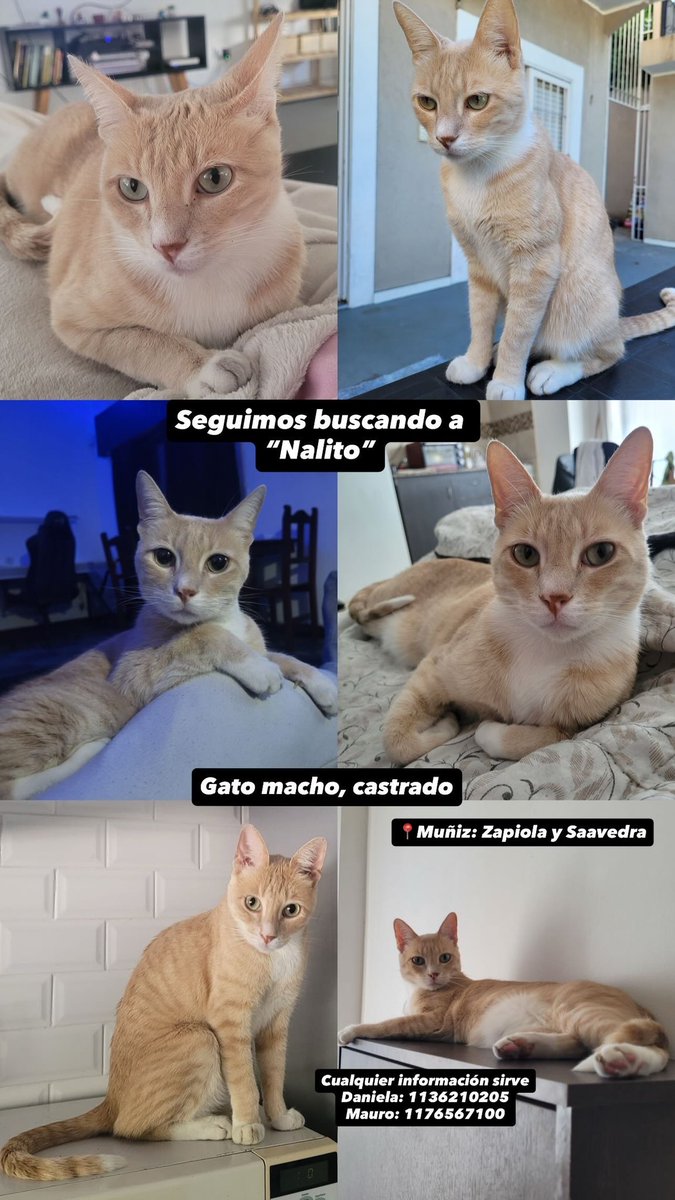 DaniMaldonado1's tweet photo. Que difícil seguir la rutina cuando estás triste, ya no sé por dónde más buscarlo https://t.co/WAblUIwNgh