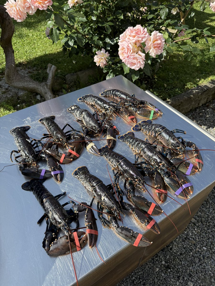 But home now and time to cook a storm