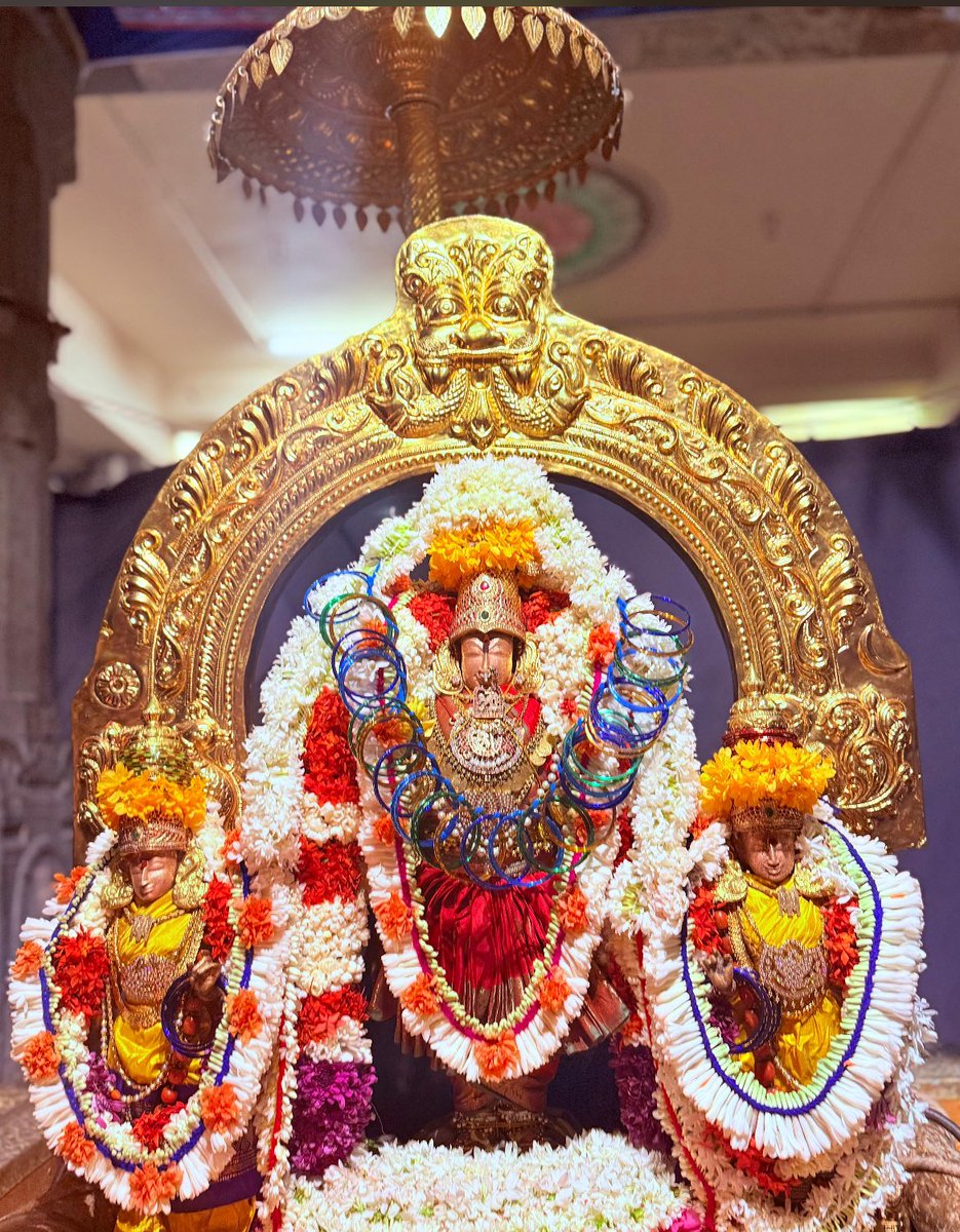 KamakshiTemple's tweet photo. Sri #Kanchi #Kamakshi #Ambal Devasthanam, #Kanchipuram - #Shukravaram- #Swarna  #Rathotsavam performed this evening- 11 Jul. 2025 #kamakoti https://t.co/AkHfFypvV7