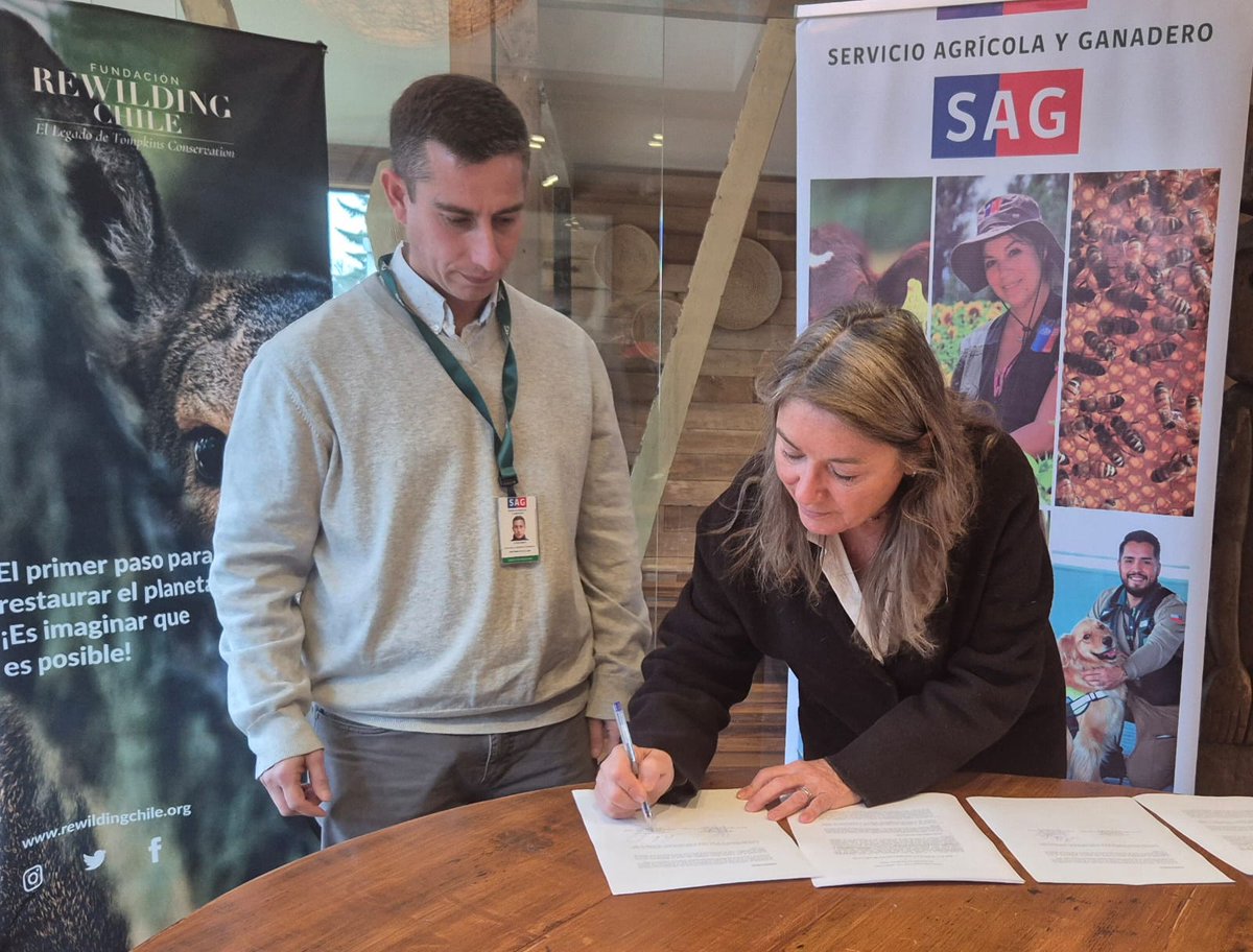 <a href="/sagchile/">SAG</a> #LosLagos y <a href="/RewildingChile/">Fundación Rewilding Chile</a> 🇨🇱 firman convenio de colaboración para fortalecer acciones de conservación y monitoreo de fauna silvestre en la región.