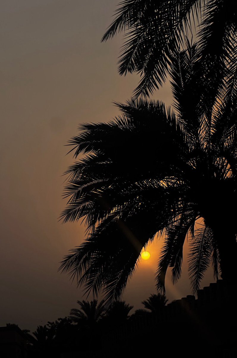 روح الإنسان هي التي تصنع من الأمور  
   العـادية أشيـاء رائعة ومُختلفـة