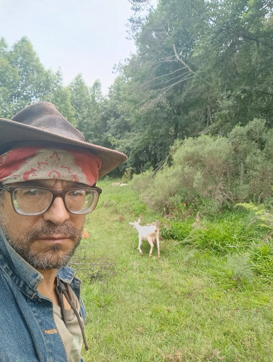 What I Stand For.

I don’t just tweet. I build systems. For content. For farms. For life.

And I do it from a 9-hectare cloud forest in Mexico, with goats, solar power, and a guitar strapped to my back.

Here’s what I stand for:

1. Digital freedom through systems thinking
Most