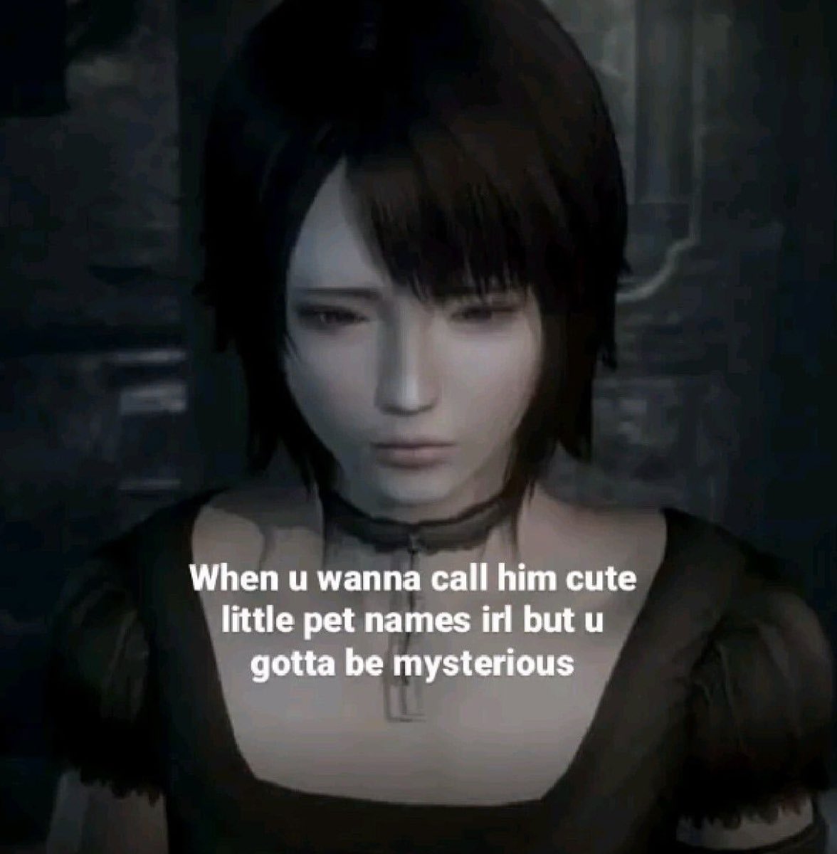 Me & Who? (@tagyourwho) on Twitter photo 