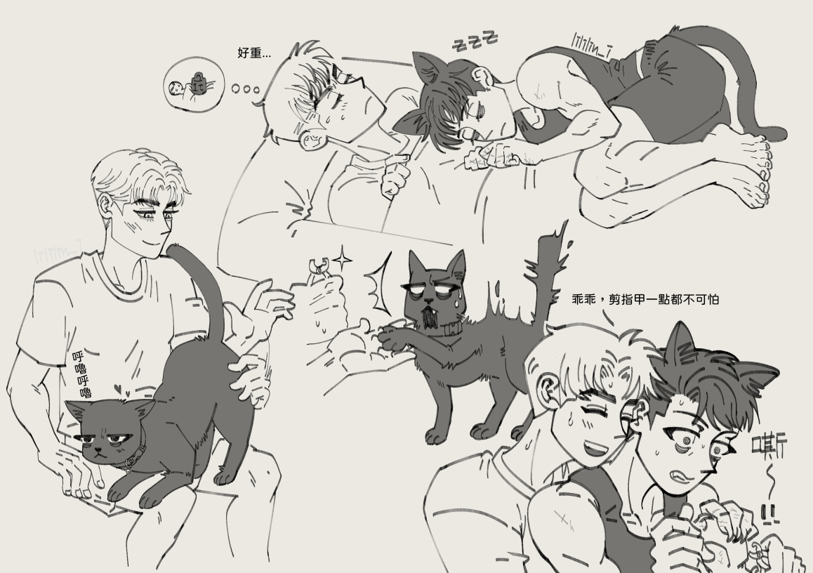 #킬러가사랑에빠졌을때 #killercrush
還是貓貓