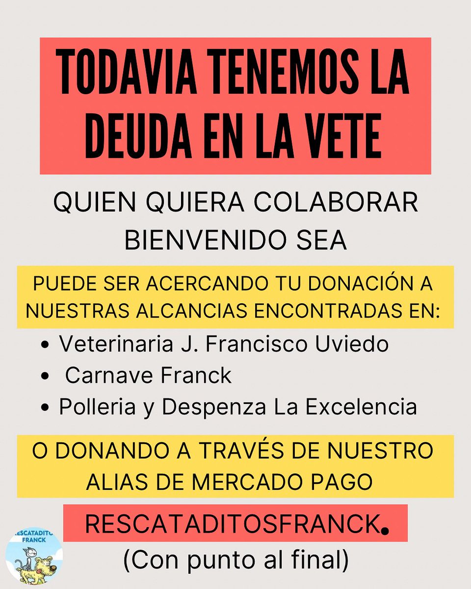 RescataditosF's tweet image. Toda donación suma !! 🙏
Ayúdanos a seguir ayudando ❣️
@aaguvolpato