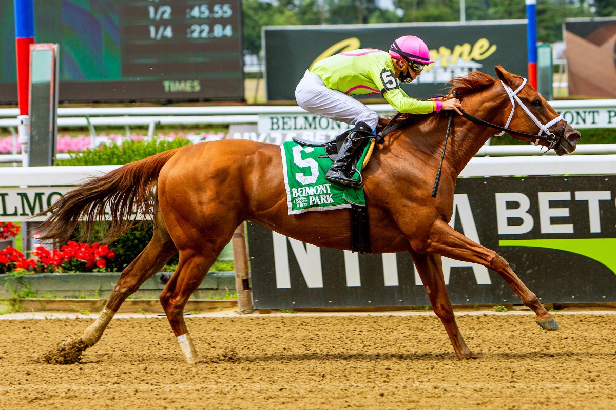 Equibase (@equibase) on Twitter photo On this day in racing history on July 11, 2020... the magnificent MONOMOY GIRL won the G2 Ruffian Stakes at Belmont Park by 2 lengths for trainer <a href="/bradcoxracing/">Brad H. Cox Racing</a> with <a href="/flothejock/">Florent Geroux</a> aboard! π
This marked her second win in a triumphant comeback after an 18-month layoff following her On this day in racing history on July 11, 2020... the magnificent MONOMOY GIRL won the G2 Ruffian Stakes at Belmont Park by 2 lengths for trainer <a href="/bradcoxracing/">Brad H. Cox Racing</a> with <a href="/flothejock/">Florent Geroux</a> aboard! π
This marked her second win in a triumphant comeback after an 18-month layoff following her