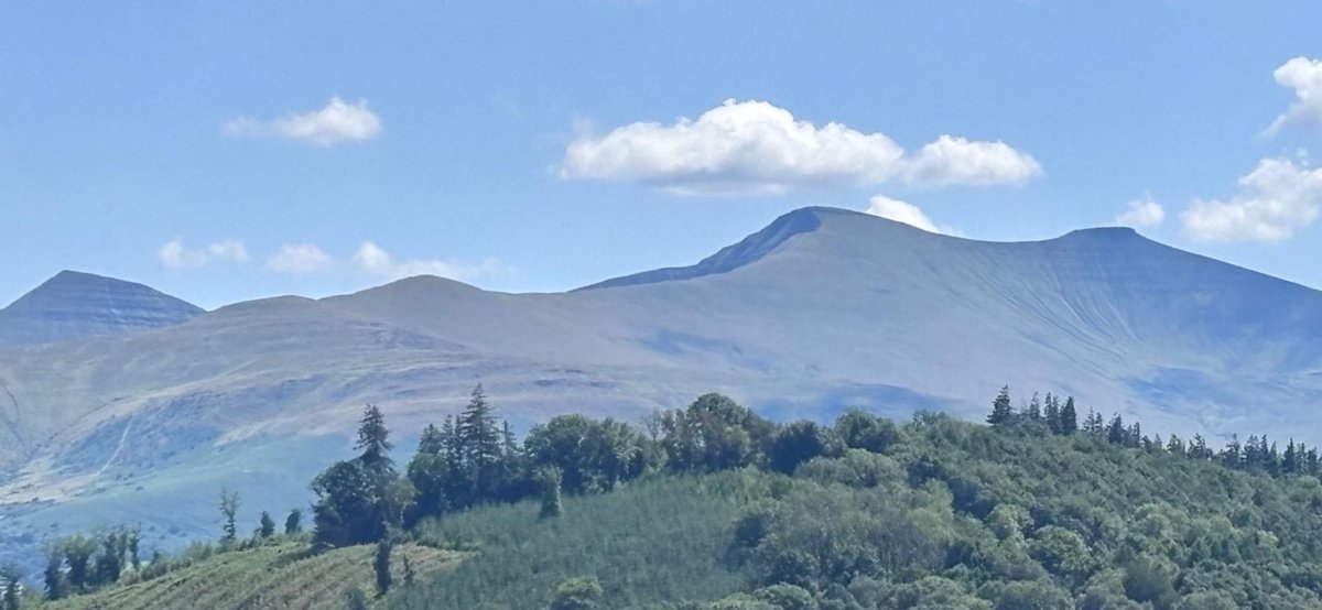 Fran Thomas tweet media