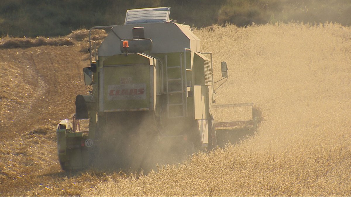 Agrosfera (@agrosfera_tve) on Twitter photo 🌾Cultivos secos +
🚜maquinaria agrícola +
💥piedras o fallos mecánicos =
RIESGO DE INCENDIO 🔥🔥🔥
En el programa de mañana os damos algunos 'tips' para evitarlos.
En lo que llevamos de año más de 25 mil hectáreas han ardido.
<a href="/RTVELaRioja/">RTVELaRioja</a> 🌾Cultivos secos +
🚜maquinaria agrícola +
💥piedras o fallos mecánicos =
RIESGO DE INCENDIO 🔥🔥🔥
En el programa de mañana os damos algunos 'tips' para evitarlos.
En lo que llevamos de año más de 25 mil hectáreas han ardido.
<a href="/RTVELaRioja/">RTVELaRioja</a>