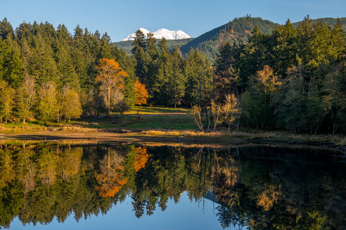 Visit Rainier (@visitmtrainier) on Twitter photo ICYMI: <a href="/NorthwestTrek/">Northwest Trek Wildlife Park</a> is turning 50!
From unforgettable wildlife encounters to views like thisāMt. Rainier shining above the WetlandsāNorthwest Trek Wildlife Park has been connecting people to nature for five decades. Join the celebration July 19ā20.
nwtrek.org/event/celebratā¦. ICYMI: <a href="/NorthwestTrek/">Northwest Trek Wildlife Park</a> is turning 50!
From unforgettable wildlife encounters to views like thisāMt. Rainier shining above the WetlandsāNorthwest Trek Wildlife Park has been connecting people to nature for five decades. Join the celebration July 19ā20.
nwtrek.org/event/celebratā¦.