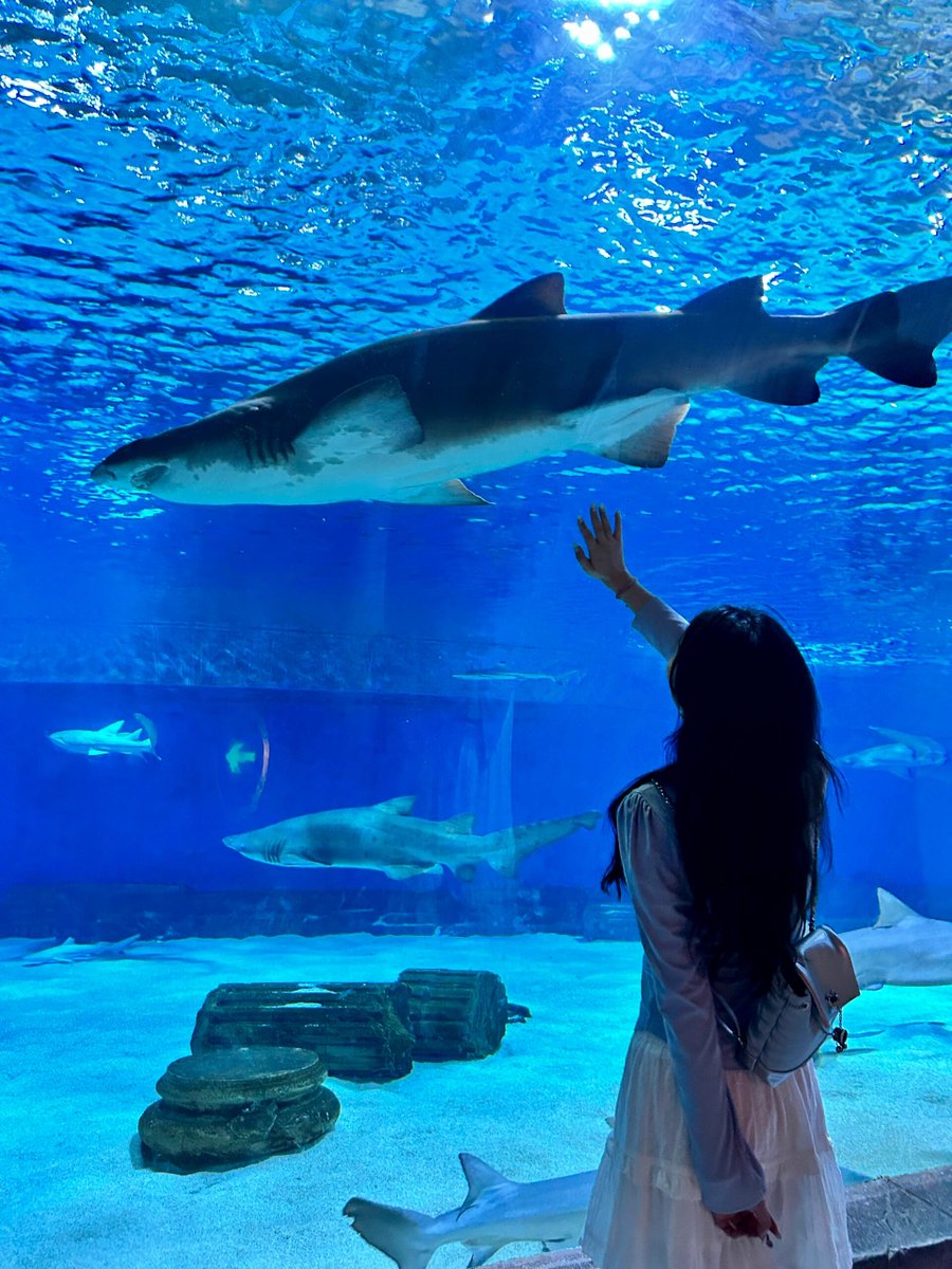 The sea is silent, but it can depict all emotions.🧚‍♀️🧚‍♀️