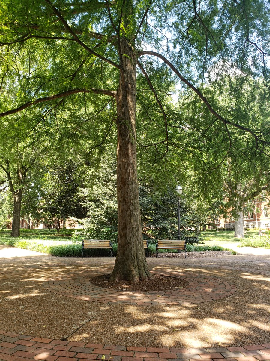 Had a wonderful time at the <a href="/ISEMPH/">ISEMPH</a> Annual Meeting <a href="/VanderbiltU/">Vanderbilt University</a>! As always, it was a pleasure meeting old friends and new colleagues working at the interface of evolutionary biology and medicine 😄