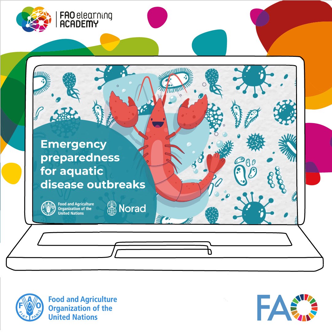 FAOfish's tweet image. This @FAOfish's certified course enhances the skills of aquaculture managers, health specialists, researchers, & regulators in disease outbreak investigation, diagnostics & contingency planning.
Interested?
Enrol now 👉 elearning.fao.org/course/view.ph…